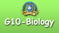 BGK-G10 Biology