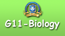 BGK-G11 Biology