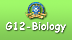 BGK-G12 Biology